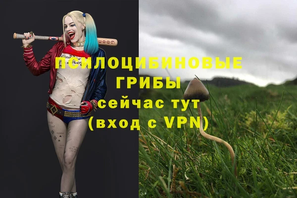 марки nbome Кулебаки